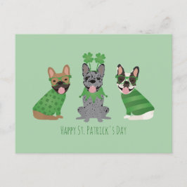 Happy St Patricks Day French Bulldogs Postkarte