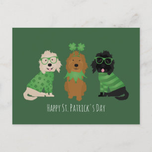 Happy St Patricks Day Goldendoodle Hunde Postkarte