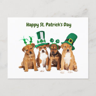 Happy St. Patrick's Day Hunde Feiertagspostkarte