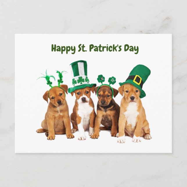 Happy St. Patrick's Day Hunde Feiertagspostkarte (Vorderseite)