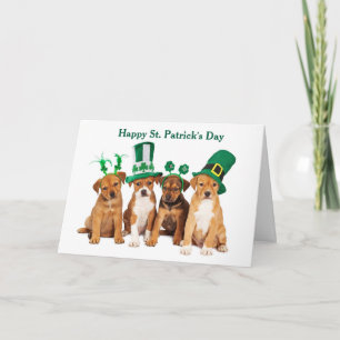 Happy St. Patrick's Day Hunde geklappte Urlaubskar Feiertagskarte