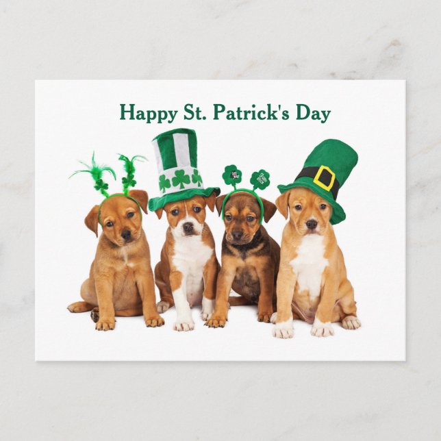 Happy St. Patrick's Day Hunde Postkarte (Vorderseite)