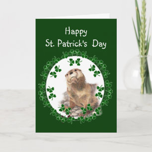 Happy St. Patrick's Day Kleeblatt Otter Tierspass Karte