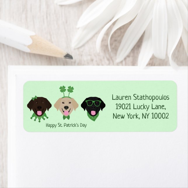 Happy St Patricks Day Labrador Retriever Hunde (Insitu)