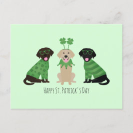 Happy St Patricks Day Labrador Retriever Hunde Postkarte