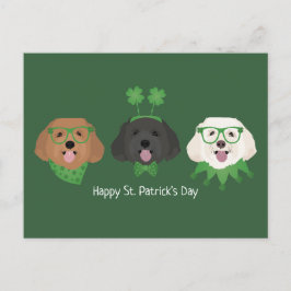 Happy St Patricks Day Maltipoo Dogs Postkarte