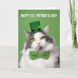 Happy St Patricks Day Niedlich Kitty in Green Feiertagskarte
