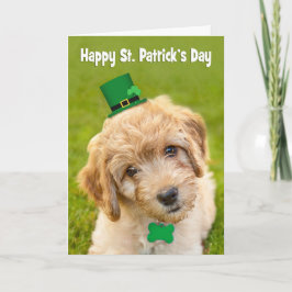 Happy St. Patrick's Day Niedlich Labradoodle iDog Feiertagskarte