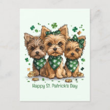 Happy St. Patrick's Day Yorkshire Terrier Dogs