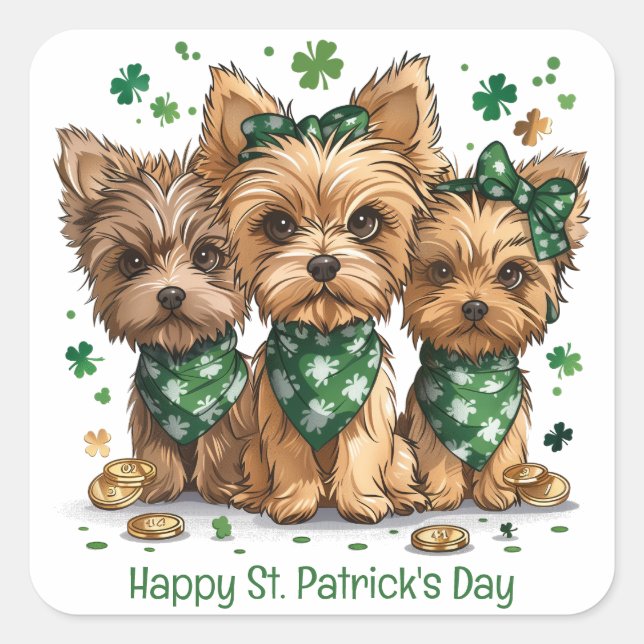 Happy St. Patrick's Day Yorkshire Terrier Dogs Quadratischer Aufkleber (Vorderseite)