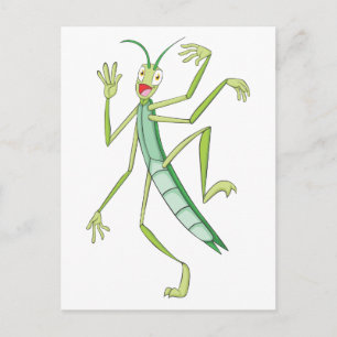 Happy Stick Insect Postkarte