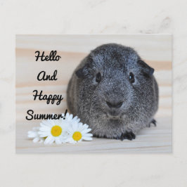 Happy Summer Guinea Pig Postkarte
