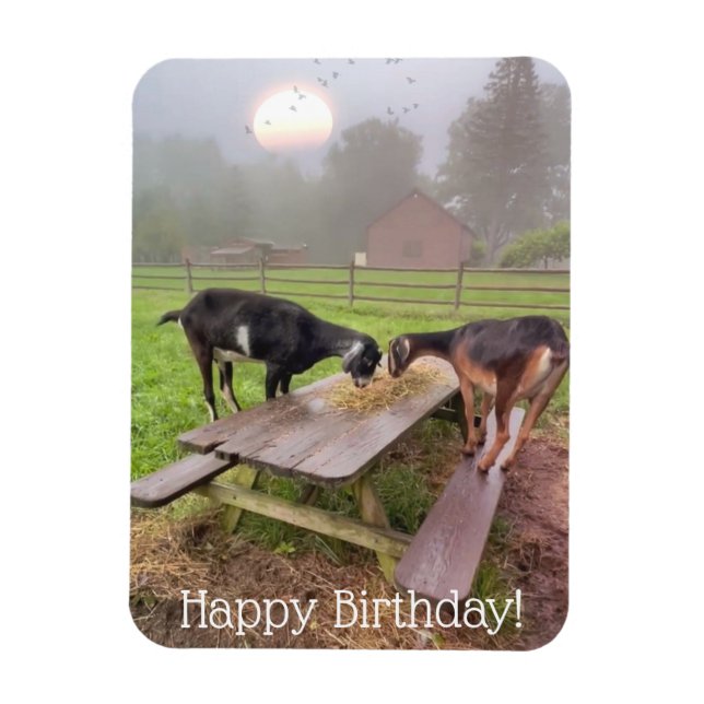 Happy Sunset Goats Birthday Magnet (Vertikal)