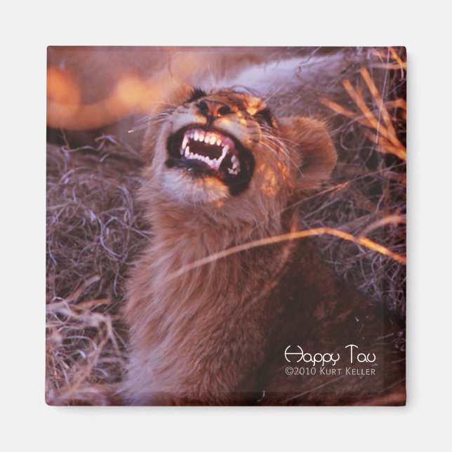 Happy Tau, Lächelnd Lion Cub Magnet (Vorne)