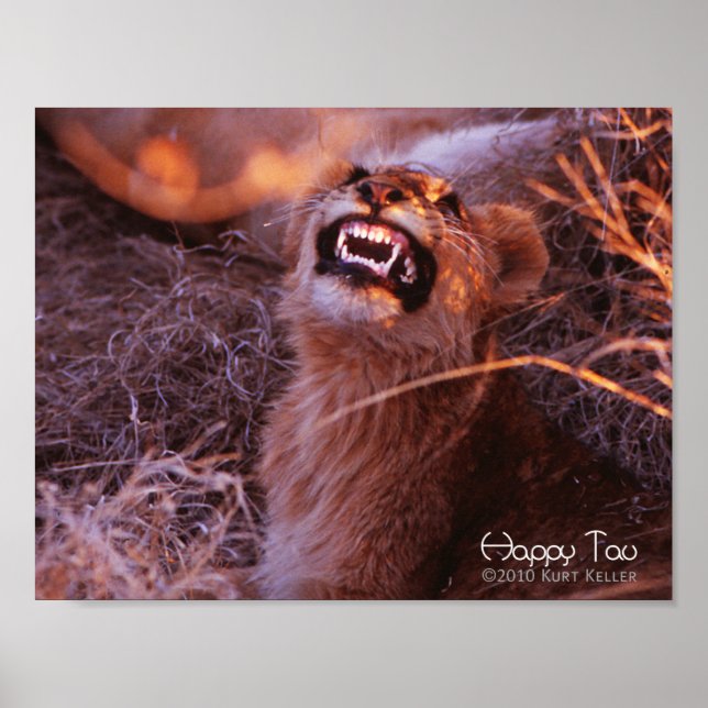 Happy Tau Poster (Vorne)