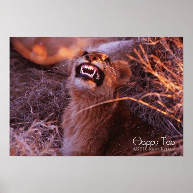 Happy Tau Poster (Vorne)