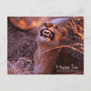 Happy Tau Postkarte