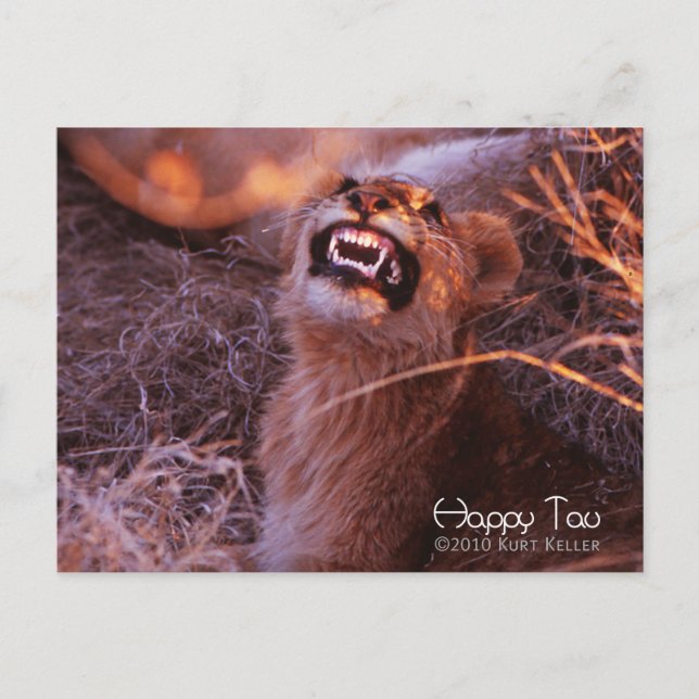 Happy Tau Postkarte (Vorderseite)