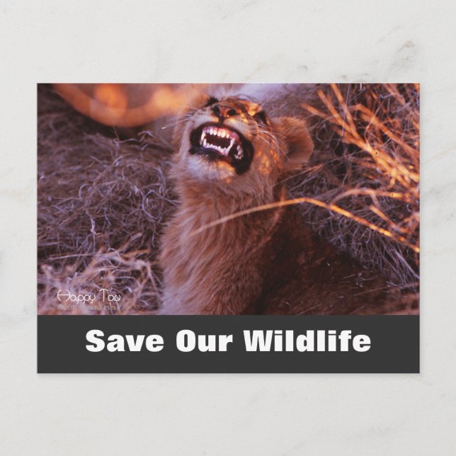 Happy Tau, Rett unsere Wildlife Postkarte (Vorderseite)