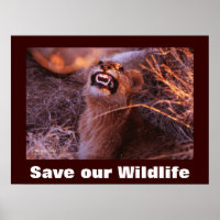 Happy Tau Rette unser Wildlife Poster