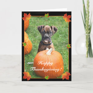 Happy Thanksgiving Boxer Welpengrüßkarte Feiertagskarte