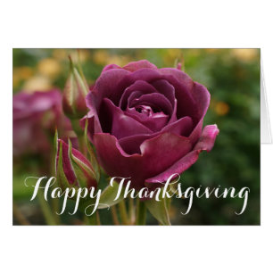 Happy Thanksgiving Burgundy Iceberg Rose #1-2 Card
