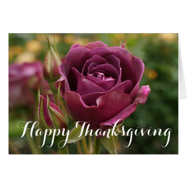 Happy Thanksgiving Burgundy Iceberg Rose #1-2 Card (Vorderseite (Horizontal))