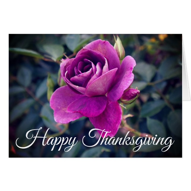 Happy Thanksgiving Burgundy Iceberg Rose #2 Card (Vorderseite (Horizontal))