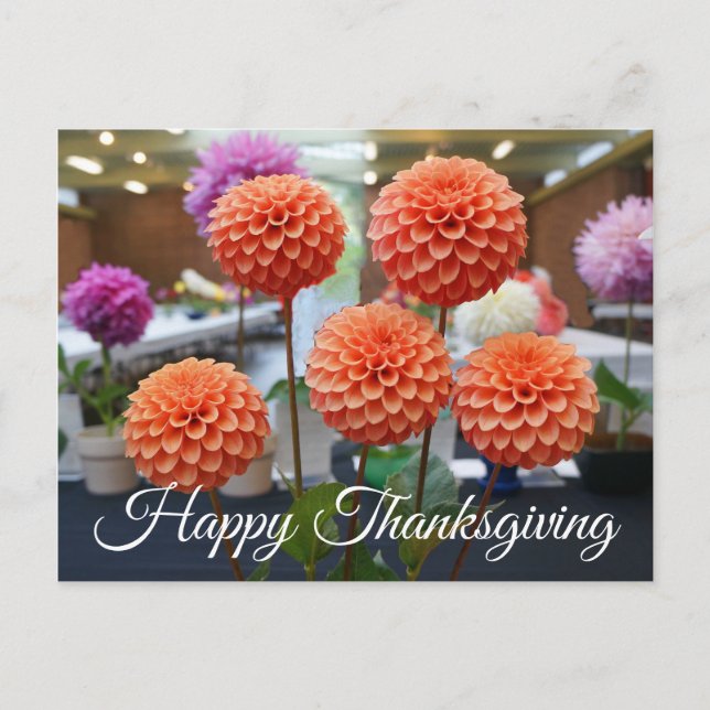 Happy Thanksgiving Dahlia Rose Toscano #1 Postkart Postkarte (Vorderseite)
