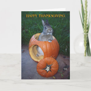 HAPPY THANKSGIVING DAY Card Feiertagskarte