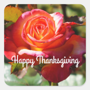 Happy Thanksgiving Dream Come True Rose #2 Aufkleb Quadratischer Aufkleber