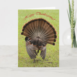 Happy Thanksgiving Feiertagskarte