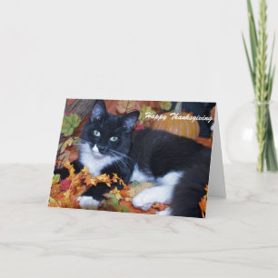 Happy Thanksgiving Feiertagskarte