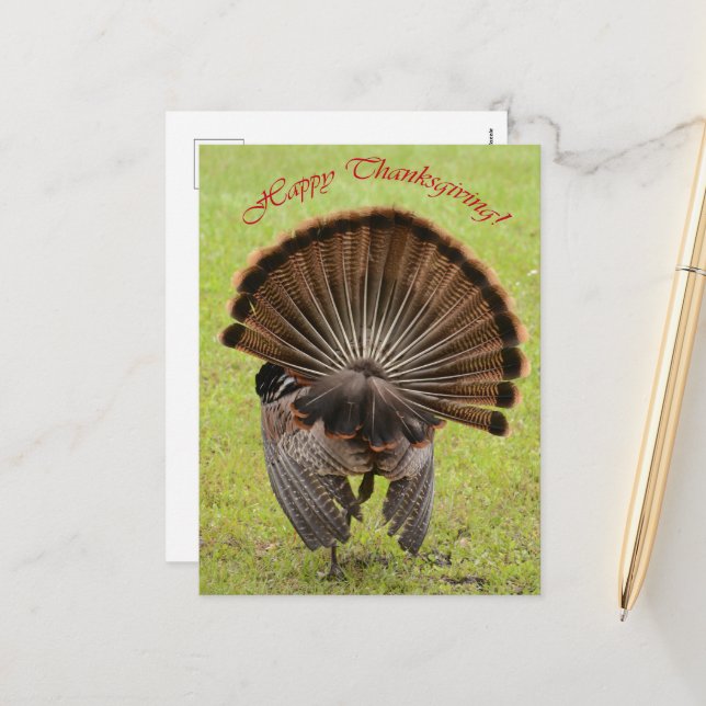 Happy Thanksgiving Feiertagspostkarte (Vorderseite/Rückseite Beispiel)