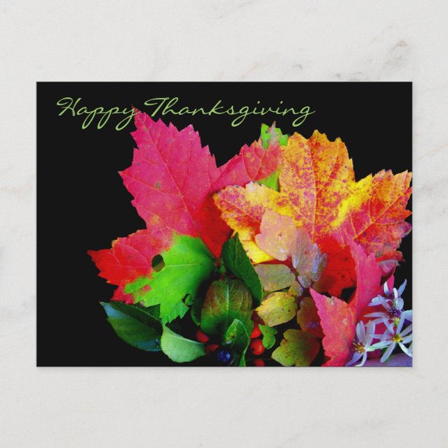 Happy Thanksgiving Foliage Postkarten (Vorderseite)