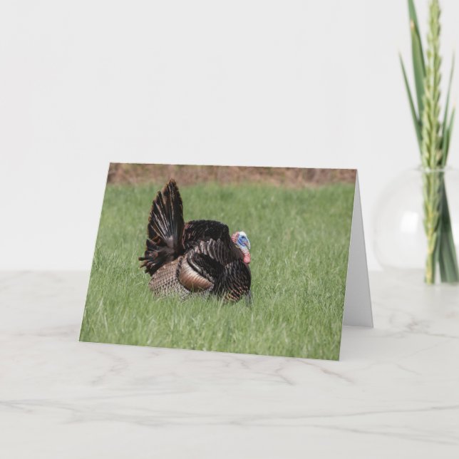 Happy Thanksgiving Karte (Vorderseite)