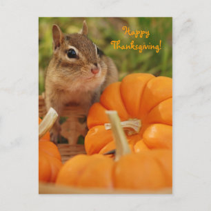 Happy Thanksgiving Little Chipmunk Postcard Feiertagspostkarte