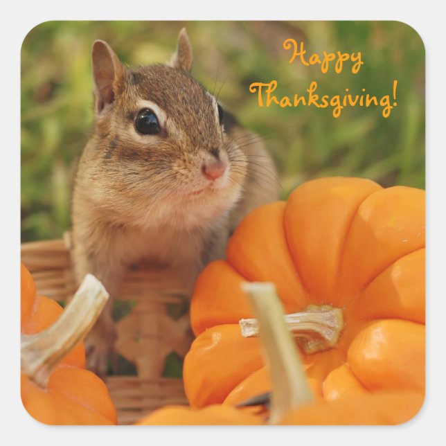 Happy Thanksgiving Little Chipmunk Sticker (Vorderseite)
