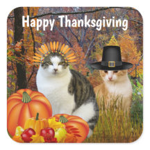 Happy Thanksgiving Niedlich Cats Pumpkin