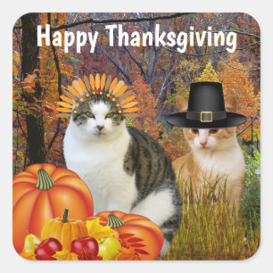 Happy Thanksgiving Niedlich Cats Pumpkin Quadratischer Aufkleber