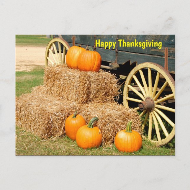 Happy Thanksgiving Pumpkins Postkarte (Vorderseite)
