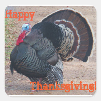 Happy Thanksgiving Turkey Foto Sticker