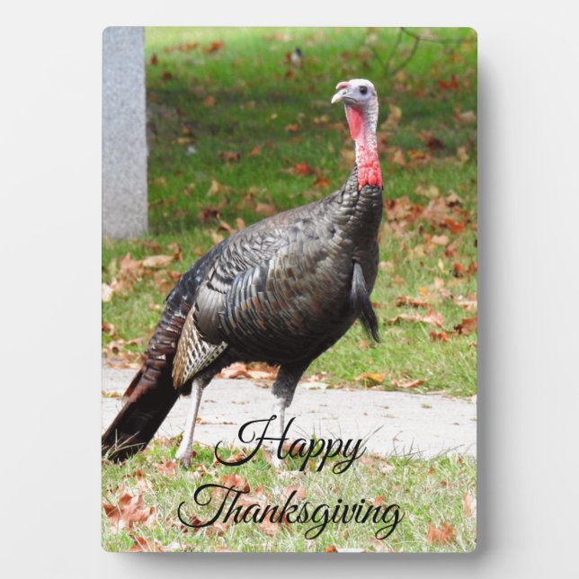 Happy Thanksgiving Turkey Plaque Fotoplatte (Vorderseite)