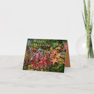 Happy Thanksgiving - Vibranly Fall Foliage Karte