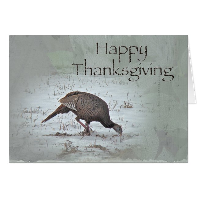Happy Thanksgiving Wild Türkei (Vorderseite (Horizontal))