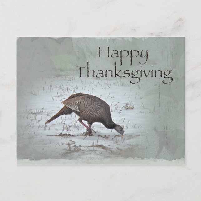 Happy Thanksgiving Wild Türkei Feiertagspostkarte (Vorderseite)