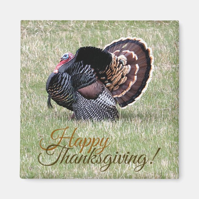 Happy Thanksgiving Wild Turkey Magnet (Vorne)