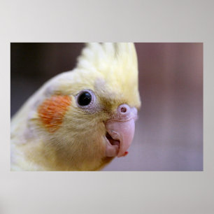 Happy tiel poster