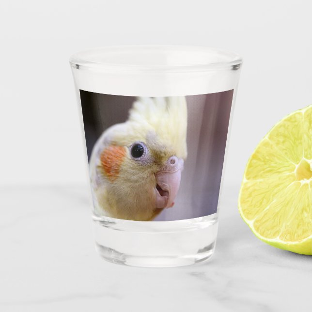 Happy tiel schnapsglas (Vorderseite)