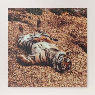 Happy Tiger Belly Up Rolling in Leaves Puzzle
